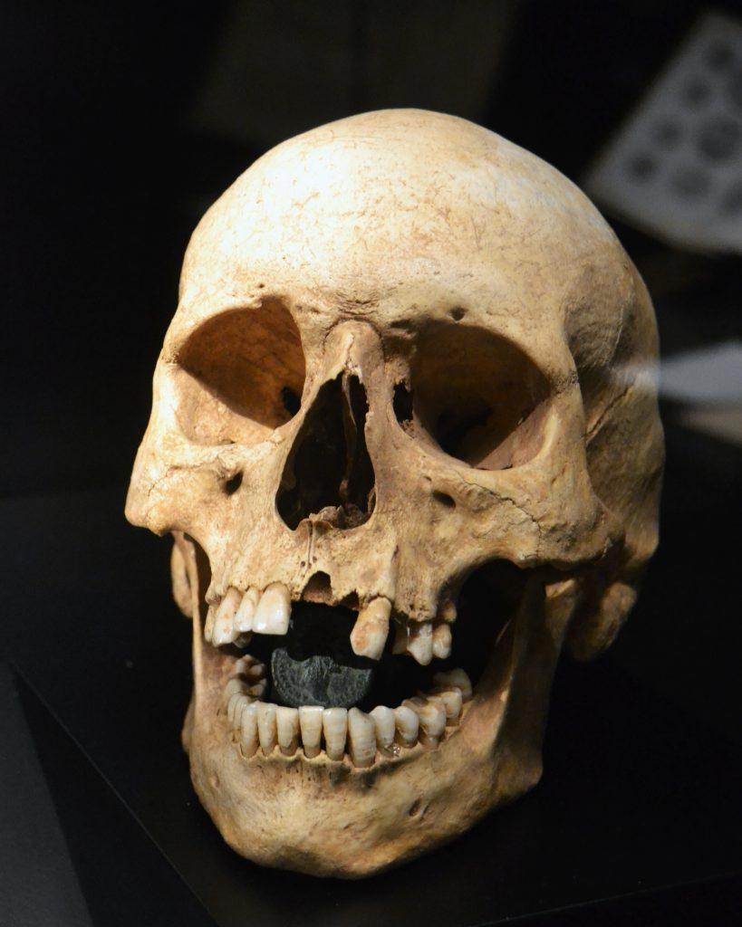 Cranio romano con un obolo in bocca (fonte: tramite WIkimedia Commons)